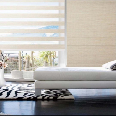 Zebra Blinds